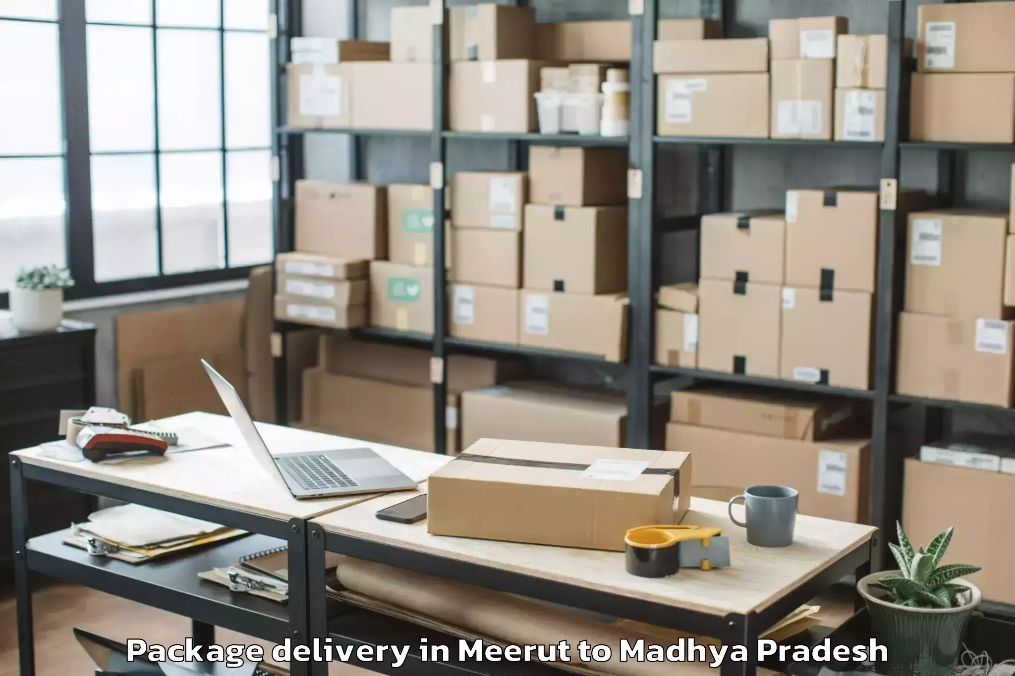 Book Meerut to Ghughri Package Delivery